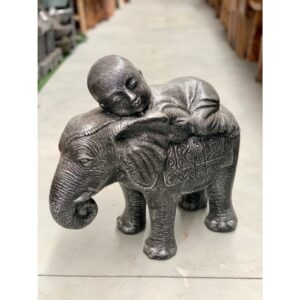 Shaolin Sleeping on Elephant (TM1119)