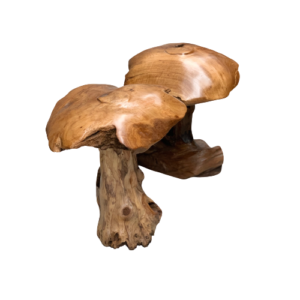 Teak Mushroom Statue 50-60cm high