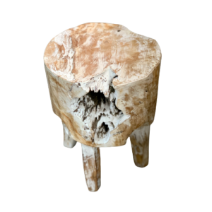Round Rustic Teak Stool