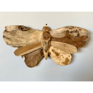 Driftwood Butterfly (YN142)