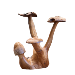 Bunch of Mushroom Wood Statue