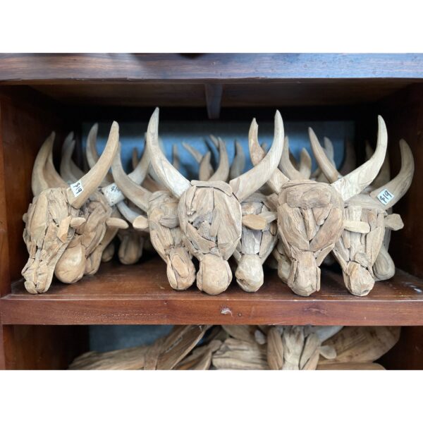 Driftwood Bull Head (YN170) - Image 2