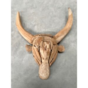 Driftwood Bull Head (YN170)