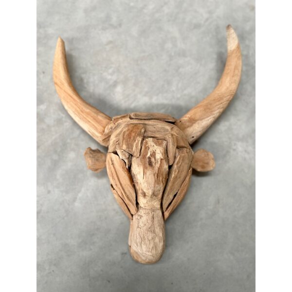 Driftwood Bull Head (YN170)